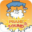 Icon of program: Funny Prank Sounds Air Ho…