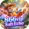 プログラムのアイコン：866vip Salt Echo