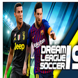 أيقونة البرنامج: Guide for New DLS 2019