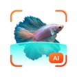 Icoon van programma: FishDetect - Fish Identif…