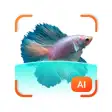 FishDetect - Fish Identifier