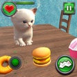 程序图标：Family Pet Cat Daycare Ga…