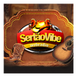 程序图标：Radio Sertão Vibe