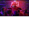 Icon of program: 4 TOWN TURNING RED PARTY …