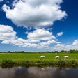 프로그램 아이콘: Weather in Holland: the a…