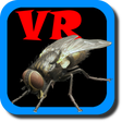 程序图标：VR Fly