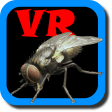 VR Fly