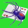 Programın simgesi: Spider Solitaire