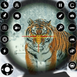 Ícone do programa: Wild Animal Shooting Game…