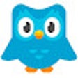 Иконка программы: Duolingo Spaced Repetitio…