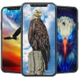 Eagle Wallpaper icon