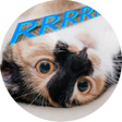 أيقونة البرنامج: Cat purr