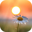 Icône du programme : Inspirational Quotes
