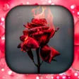 Icon of program: Rose Wallpaper Live HD3D4…