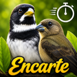 Ikona programu: Coleiros: Cantos Para Enc…