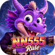 Programikon: NN555Rule