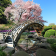 プログラムのアイコン：Sakura Garden Live Wallpa…