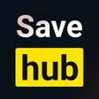 程序图标: Save Hub Video Downloader
