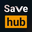 Save Hub Video Downloader