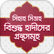 程序图标：বখরমসলমআব দউদতরমজ