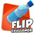 程序图标：Water Bottle Flip 3D Chal…