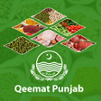 Icon of program: Qeemat Punjab