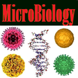 プログラムのアイコン：Basic Microbiology