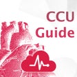 Programın simgesi: CCU Guide