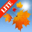 Icon of program: Autumn Leaves Free