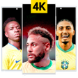 程序图标：brazil national football …