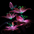 プログラムのアイコン：Purple Flowers Live Wallp…