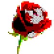 أيقونة البرنامج: Color by Number