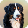 Ikona programu: Dog Wallpapers