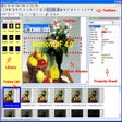Icon of program: MotionGIF