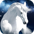 程序图标：Horse Wallpaper HD
