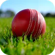 أيقونة البرنامج: IPL Live Match - Score  T…