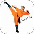 プログラムのアイコン：Learn Kung fu easy