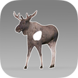程序图标：Animal vitals for hunters