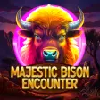 Majestic Bison Encounter