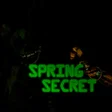 Иконка программы: SpringSecret