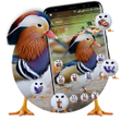 程序图标：Mandarin Duck Launcher Th…