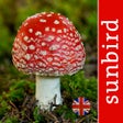程序图标：Mushroom Id Guide - UK