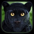 Ikon program: Wild Animal Simulators