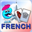 Ikon program: Learn French Cards