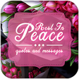 Icon of program: RIP Quotes and Sayings