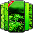 Icon of program: Green Wallpaper