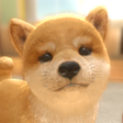 プログラムのアイコン：with My DOG