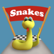 Snake Way 3D: Adventure Run