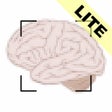 ไอคอนของโปรแกรม: ML Image Identifier Lite