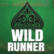 Ícone do programa: Wild Runner